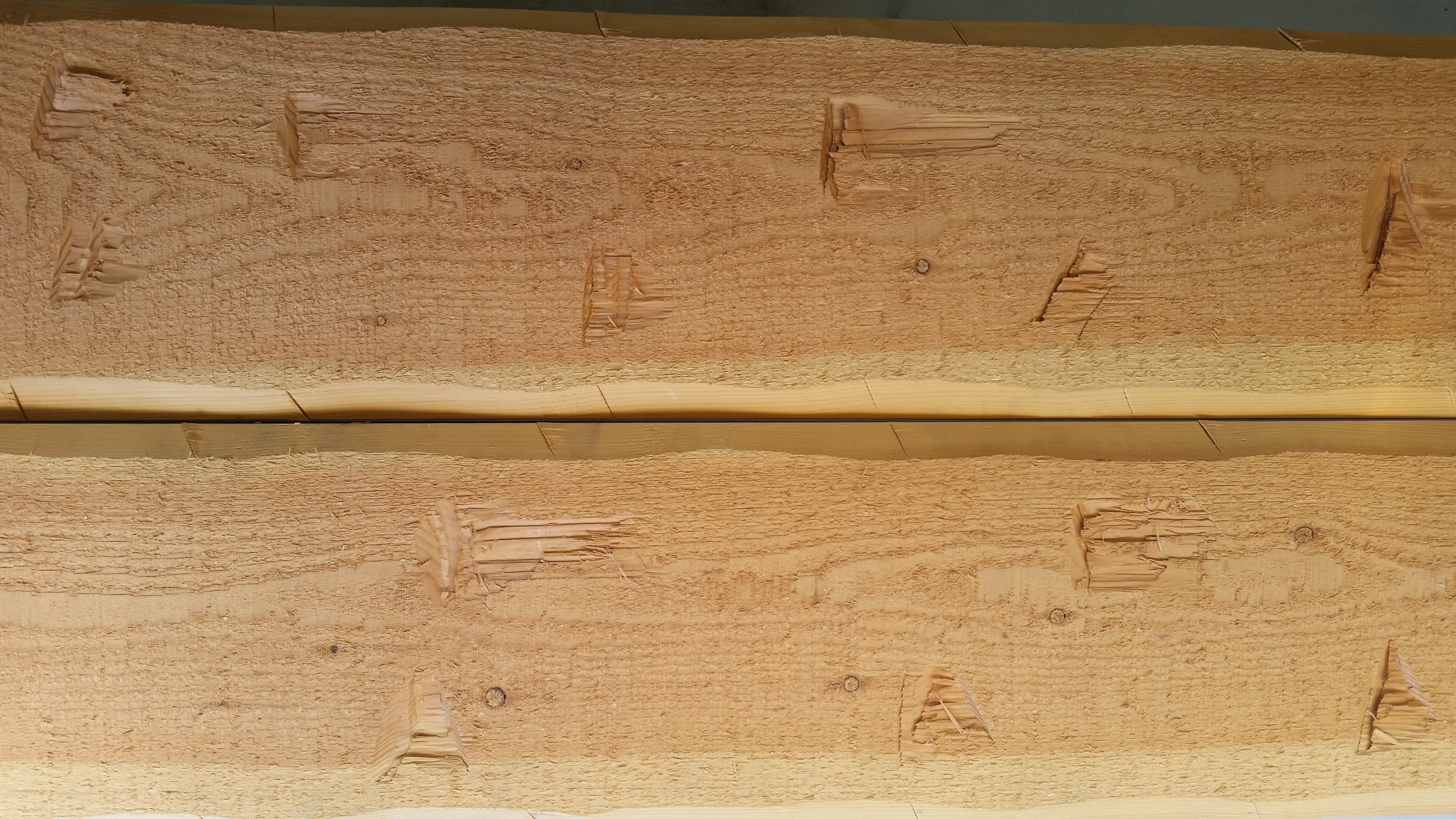 2X12 FL CORONADO TETON (3)