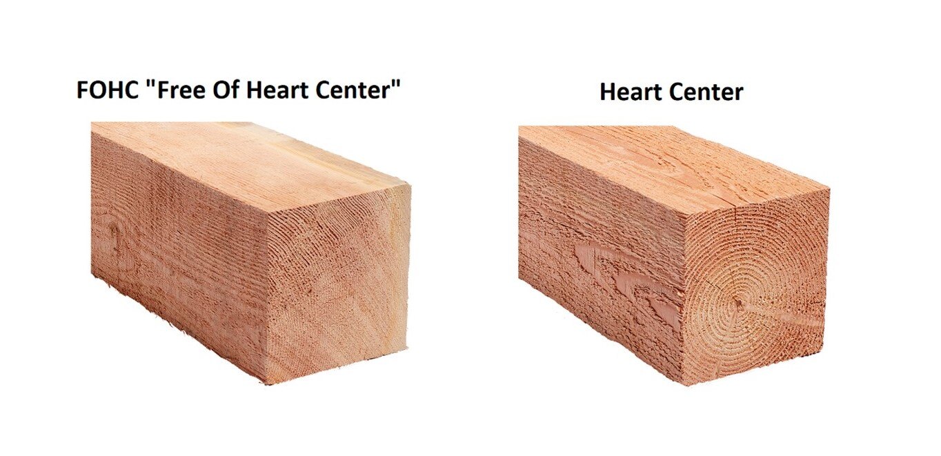 FOHC VS BH