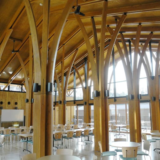 Glue-Lam-Beams_project