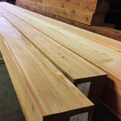 Western Larch