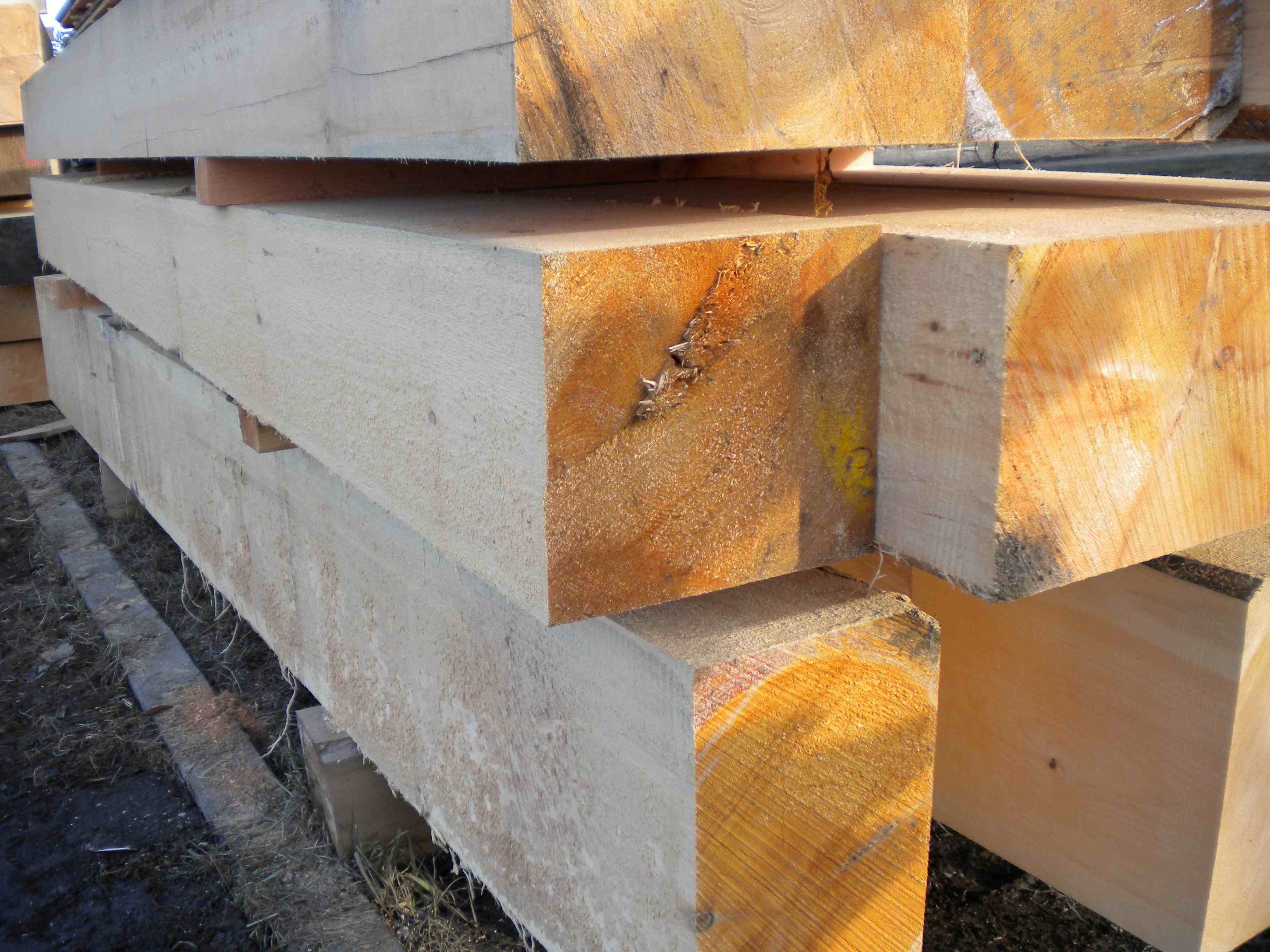 White Pine Mill Rough 2