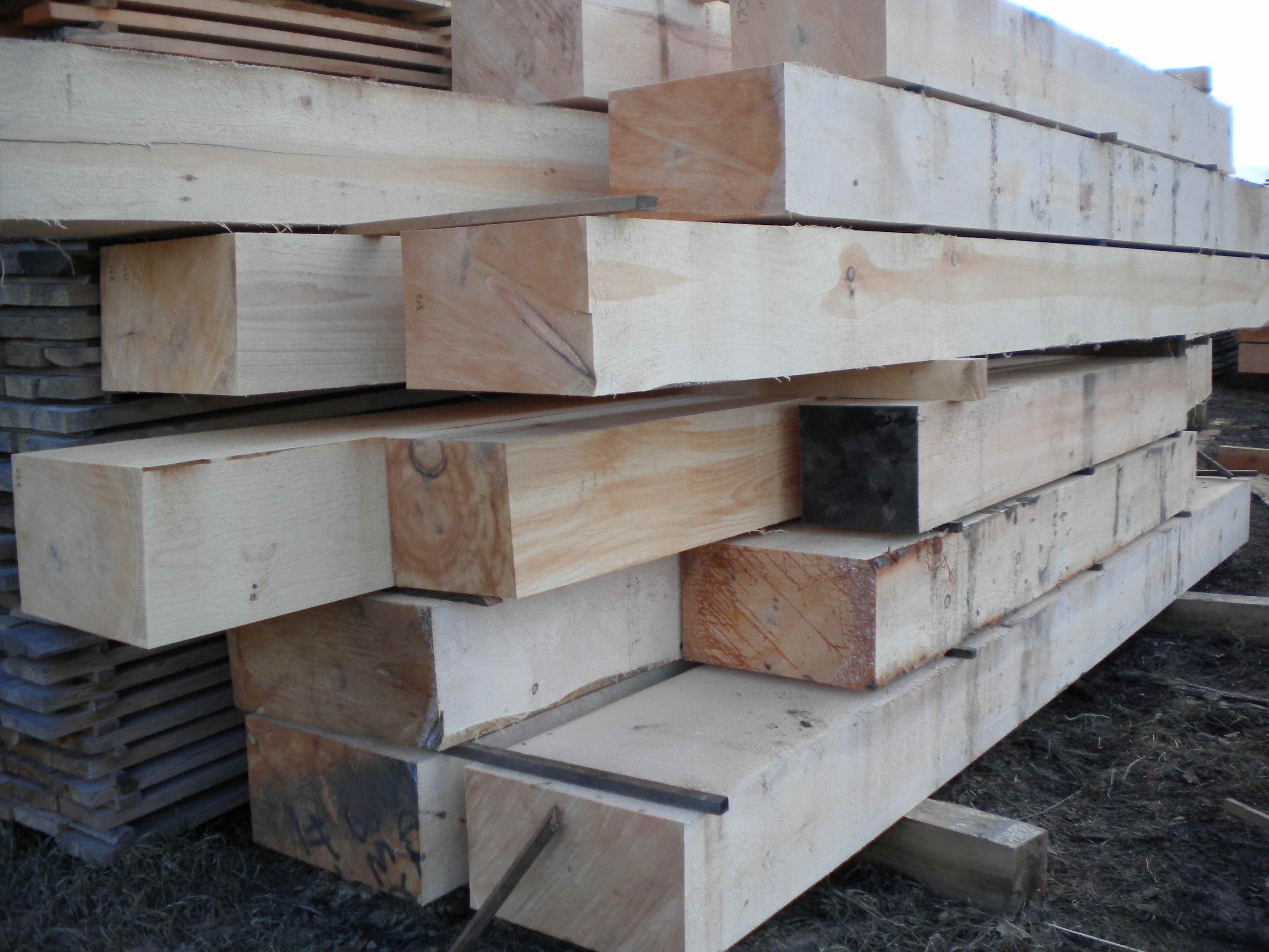 White Pine Mill Rough